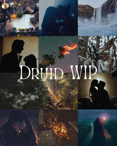 Druid WIP Druid WIP